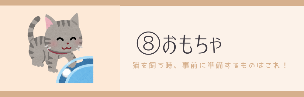 必見 猫を飼うときに準備するものはこれだけ 初心者 銀次朗の 飯はまだかね