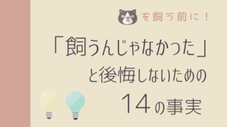 猫を飼うメリットとデメリットを教えます 脳が活性化 銀次朗の 飯はまだかね 猫を飼うメリットとデメリットを教えます 脳が活性化 銀次朗の 飯はまだかね