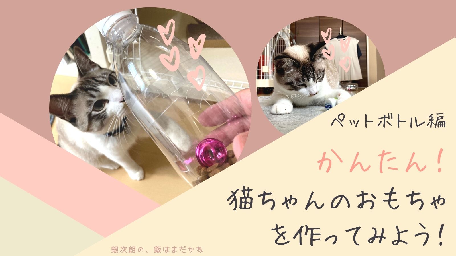 簡単 猫ちゃんのおもちゃを手作りしてみませんか ペットボトル編 銀次朗の 飯はまだかね